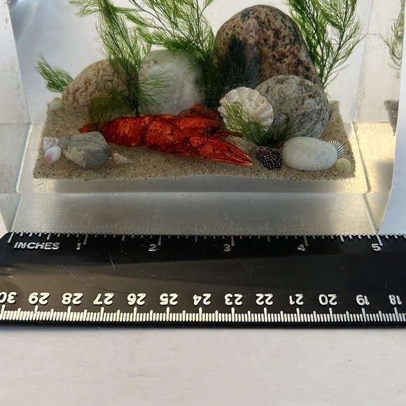 1960s Lucite Book Ends Clear Float TM Ocean Scene Lobsters - Picture 14 of 14